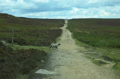 Houndkirk
Road