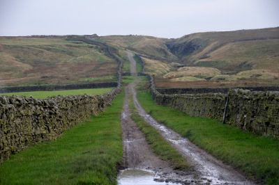 Busk Lane