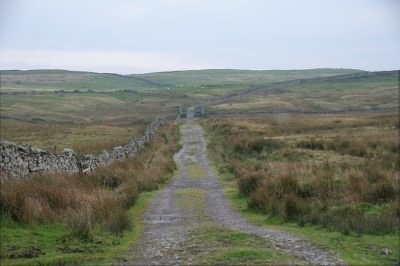 Busk Lane