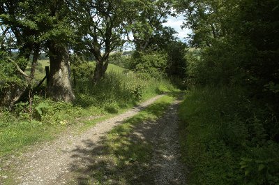 Stop Bridge Lane